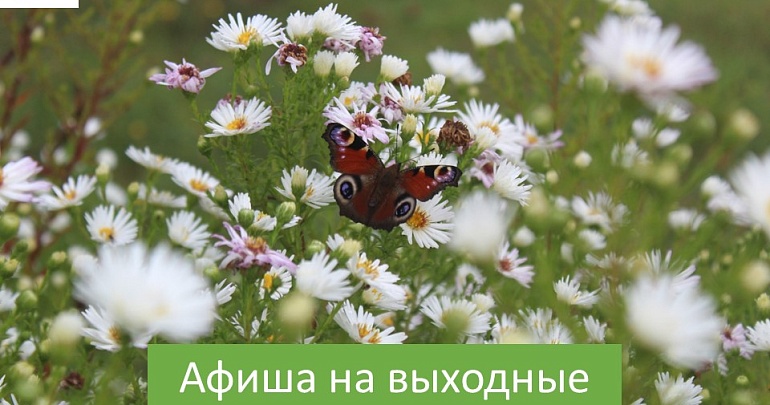 Афиша на выходные Афиша на выходные