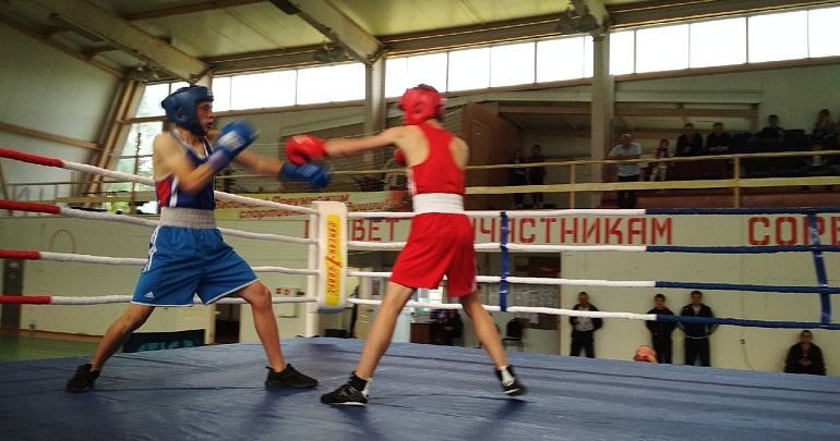 XI Всероссийский Открытый турнир по боксу, посвященный памяти погибших сотрудников ЦСН ФСБ России Романа Лашина и Игоря Панина