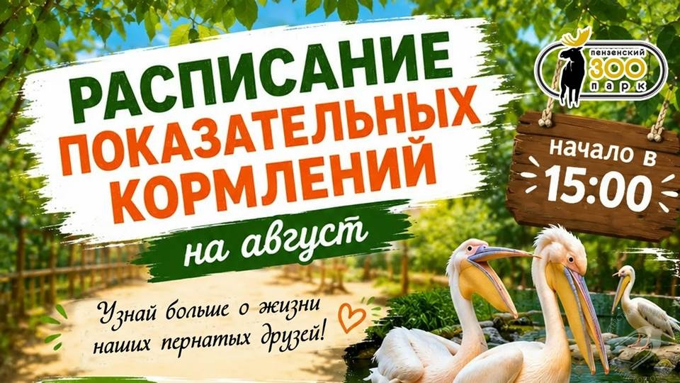 В Пензенском зоопарке август объявлен месяцем пернатых В Пензенском зоопарке август объявлен месяцем пернатых
