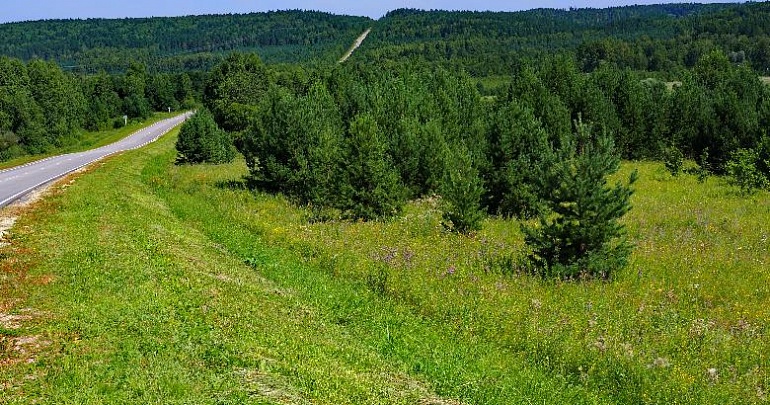 В мире эрзянских традиций 