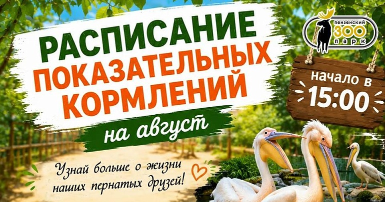 В Пензенском зоопарке август объявлен месяцем пернатых В Пензенском зоопарке август объявлен месяцем пернатых