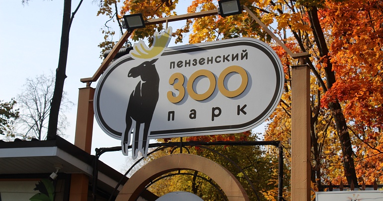 В Пензенском зоопарке появилась новая обитательница, зебра Элли