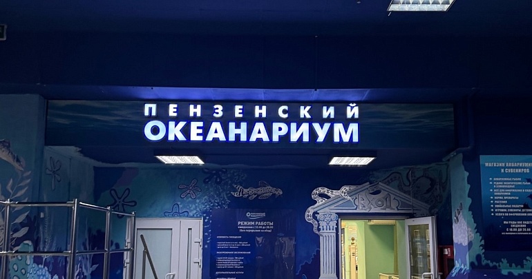 НОВОГОДНИЕ КОРМЛЕНИЯ И ТРЕНИНГИ в ПЕНЗЕНСКОМ ОКЕАНАРИУМЕ