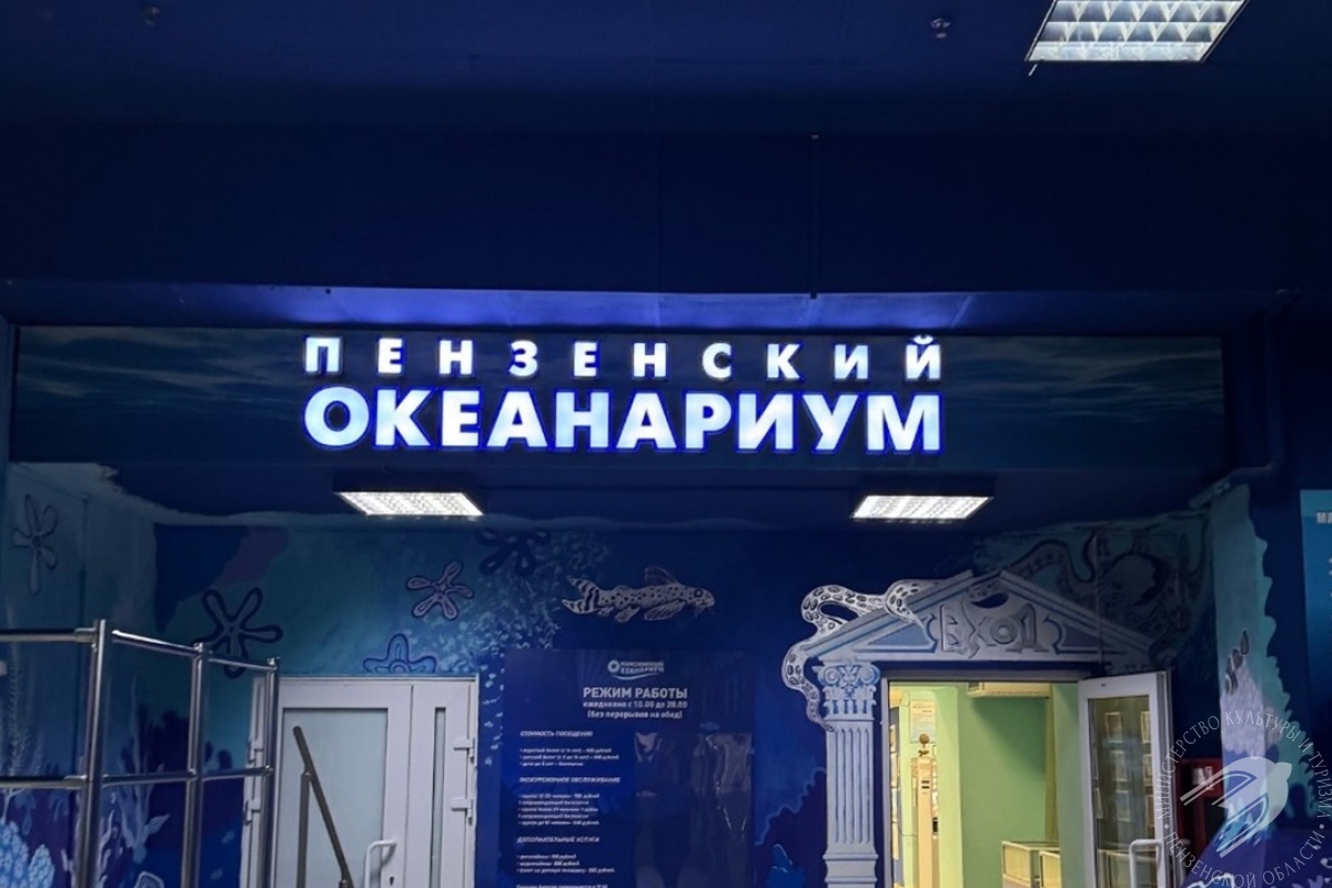 НОВОГОДНИЕ КОРМЛЕНИЯ И ТРЕНИНГИ в ПЕНЗЕНСКОМ ОКЕАНАРИУМЕ НОВОГОДНИЕ КОРМЛЕНИЯ И ТРЕНИНГИ в ПЕНЗЕНСКОМ ОКЕАНАРИУМЕ