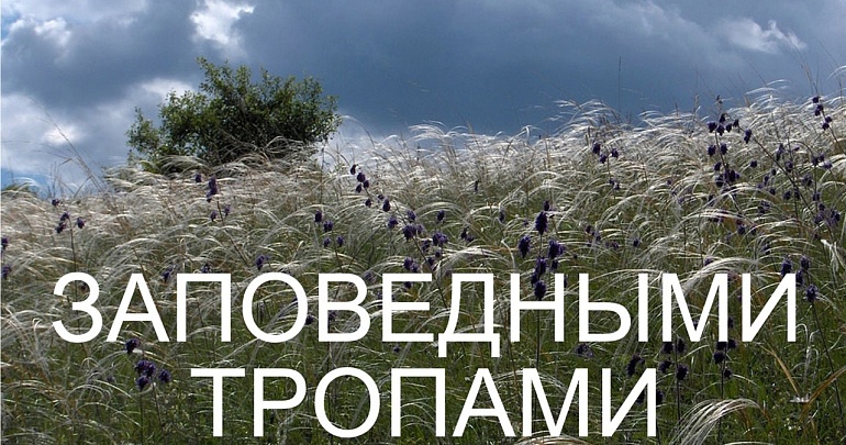 Выставка «Заповедными тропами»